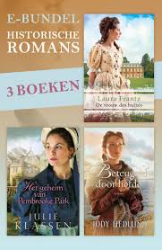 boek roman