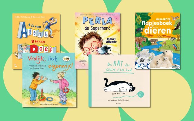 leesboek 6 jaar