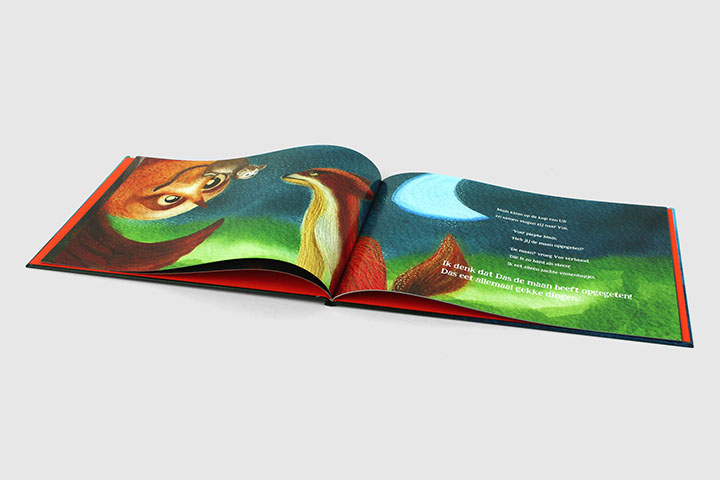 kinderprentenboek